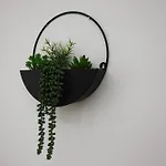 Apartment's Cosy شقة *